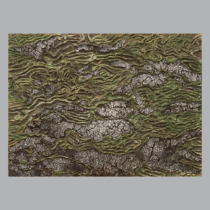 DISTPAI001 Untitled (2022)