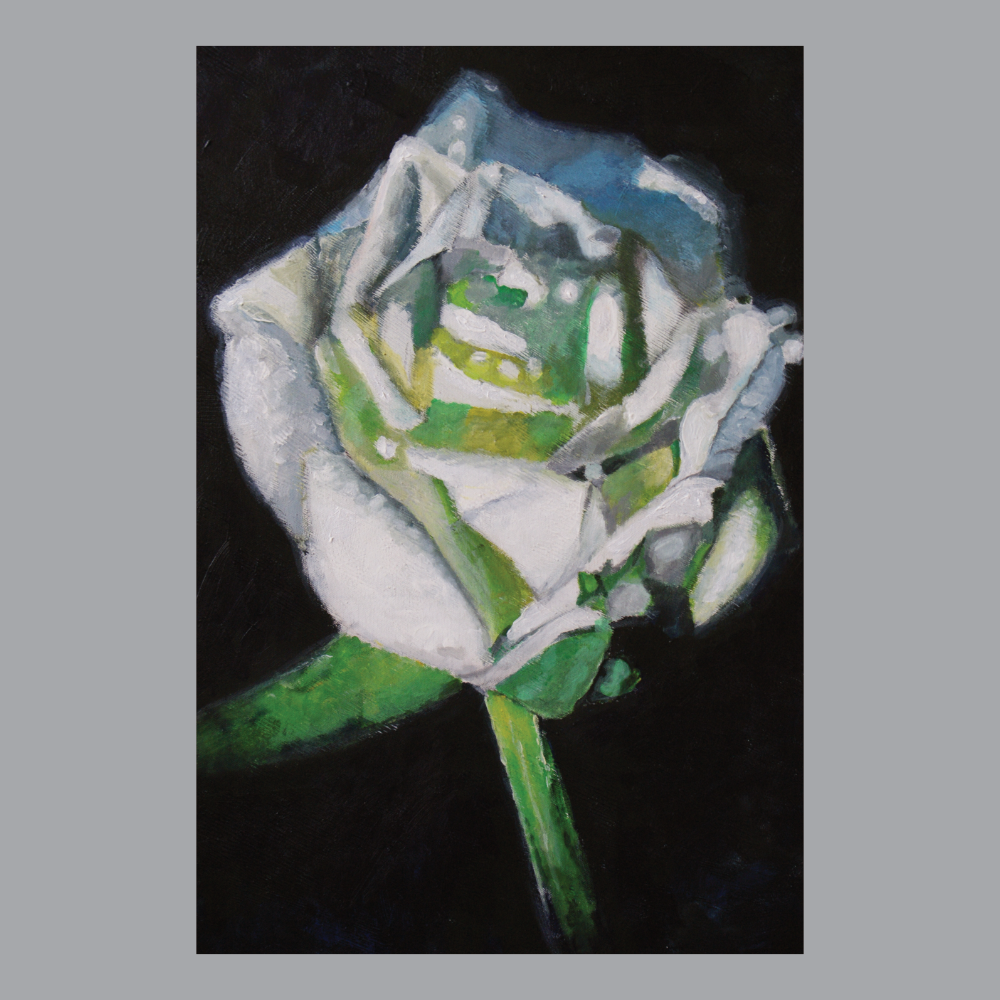 White Rose (Unknown Year)